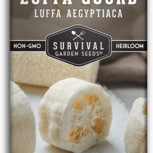 Luffa or Loofah Seed